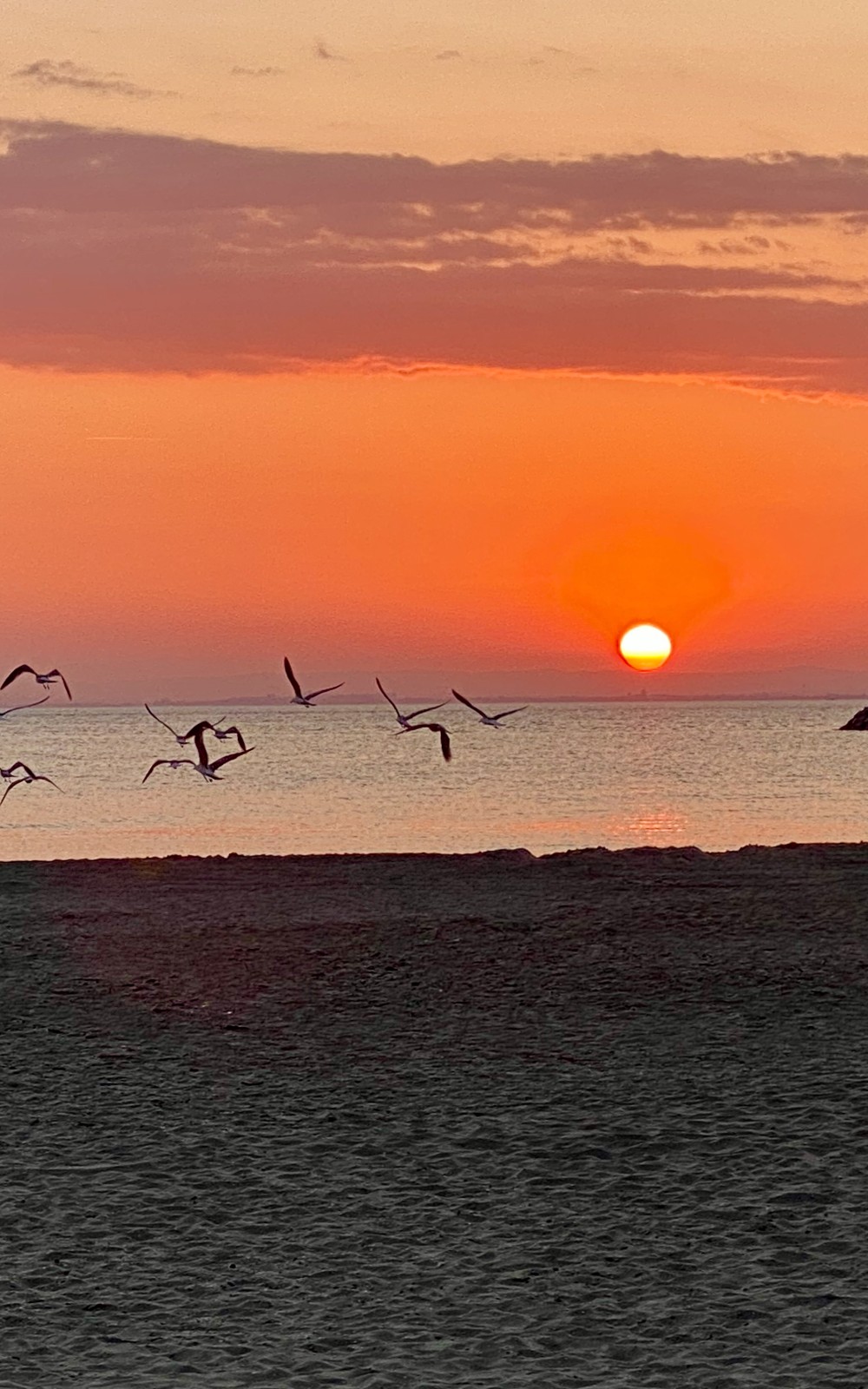 Coucher de soleil sur la rive gauche du Grau-du-Roi