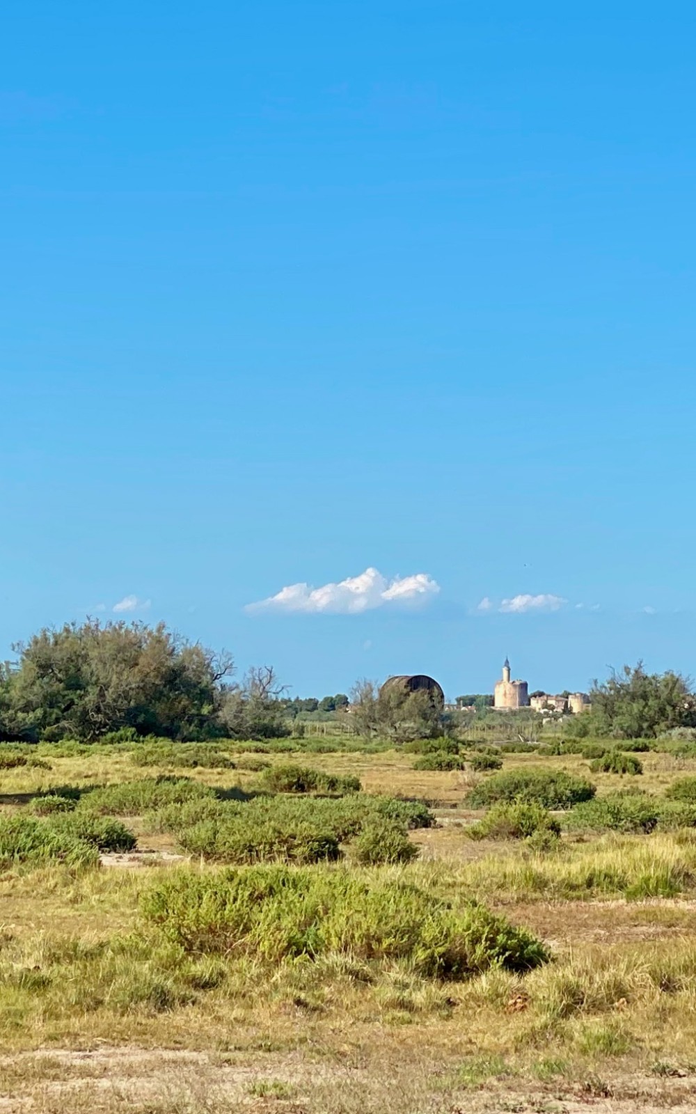 La sansouire avec vue sur la Tour Constance d'Aigues-Mortes