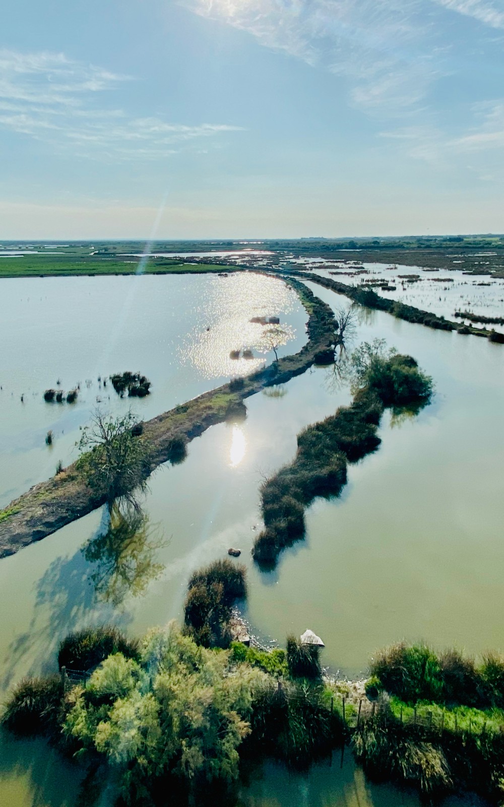 Marécages en Camargue depuis le haut de la Tour Carbonière