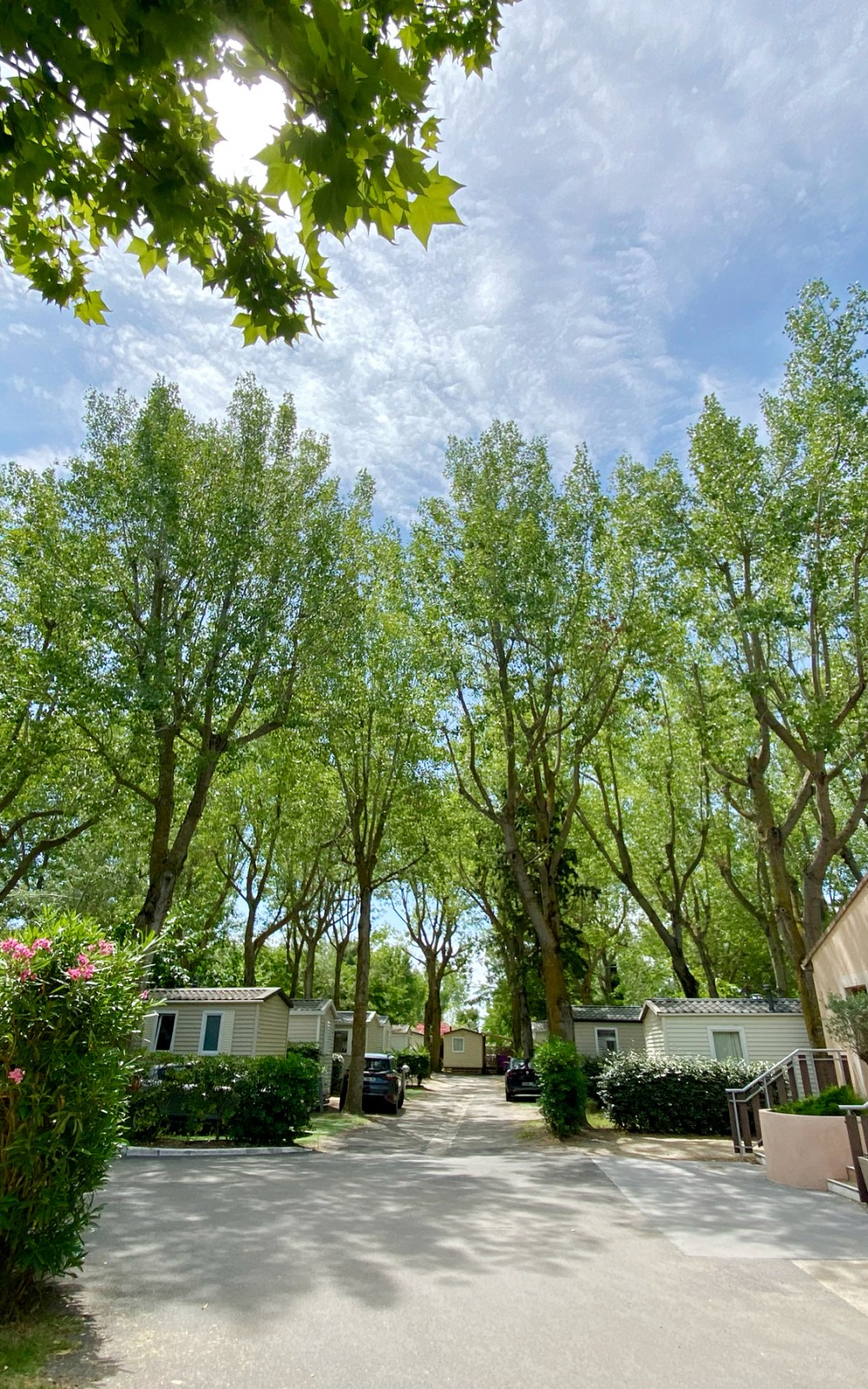 Notre camping est un grand parc très arboré