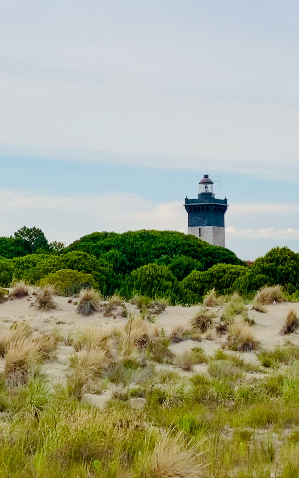 Phare de l'Espiguette vue des dunes