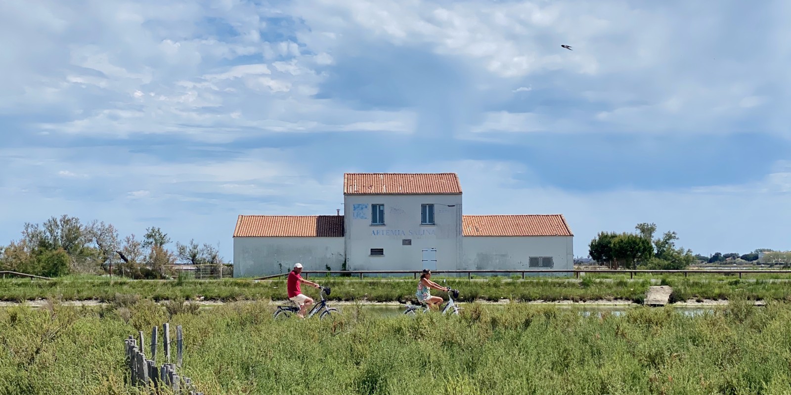 À vélo, laissez-vous porter par la douceur du sud, le chant des cigales et la brise légère