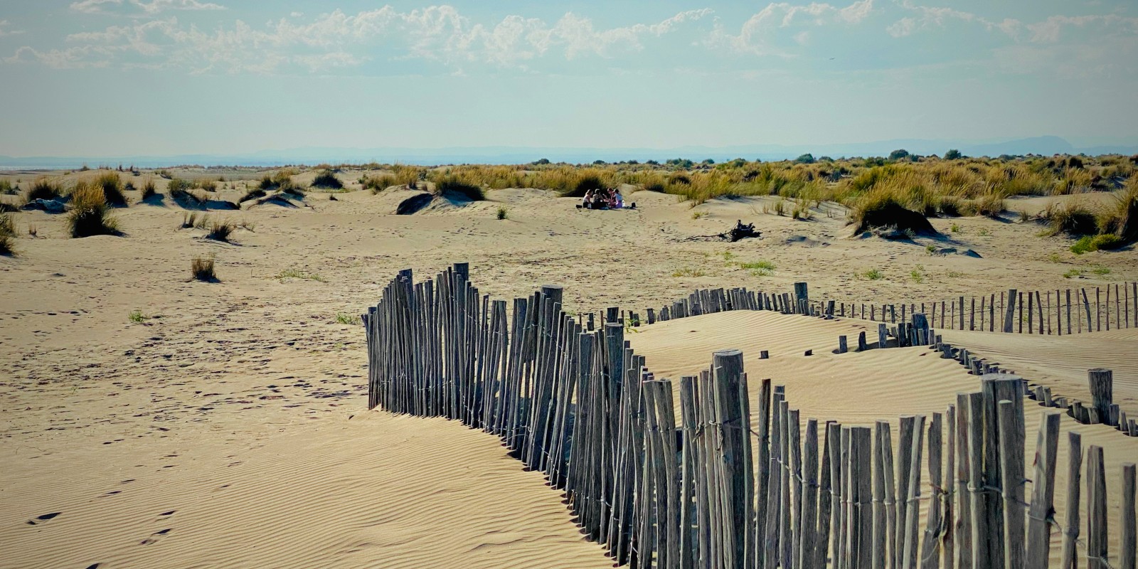Amis lors d'un pique-nique à l'Espiguette