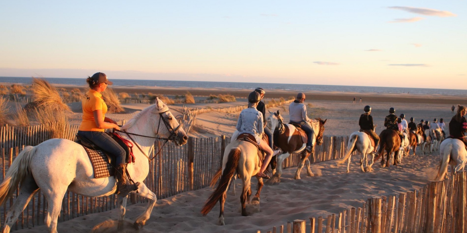 Balade à cheval en Camargue avec Abrivado Ranch