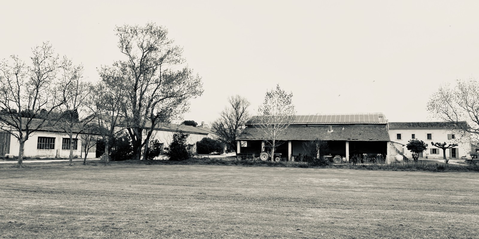 Bâti de ferme camarguaise, près de l'étang de Vaccarès
