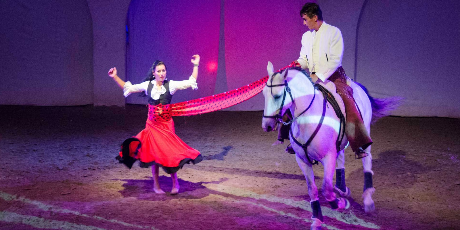 Cabarets Equestres de Camargue - extrait d'un spectacle
