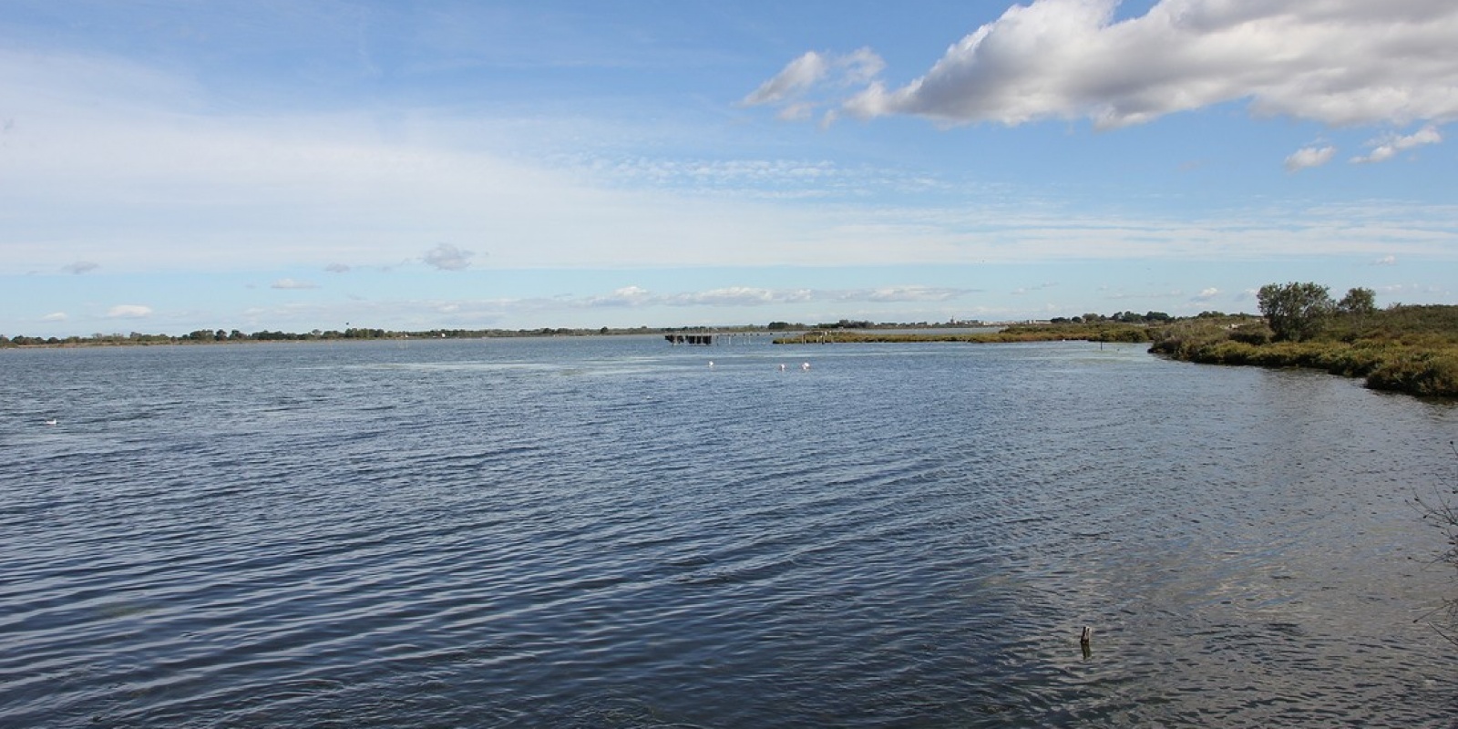 La Camargue des grands espaces