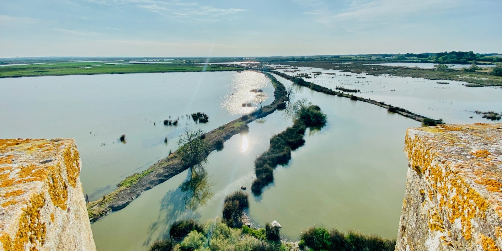La petite Camargue vue du haut de la Tour Carbonnière près d'Aigues-Mortes