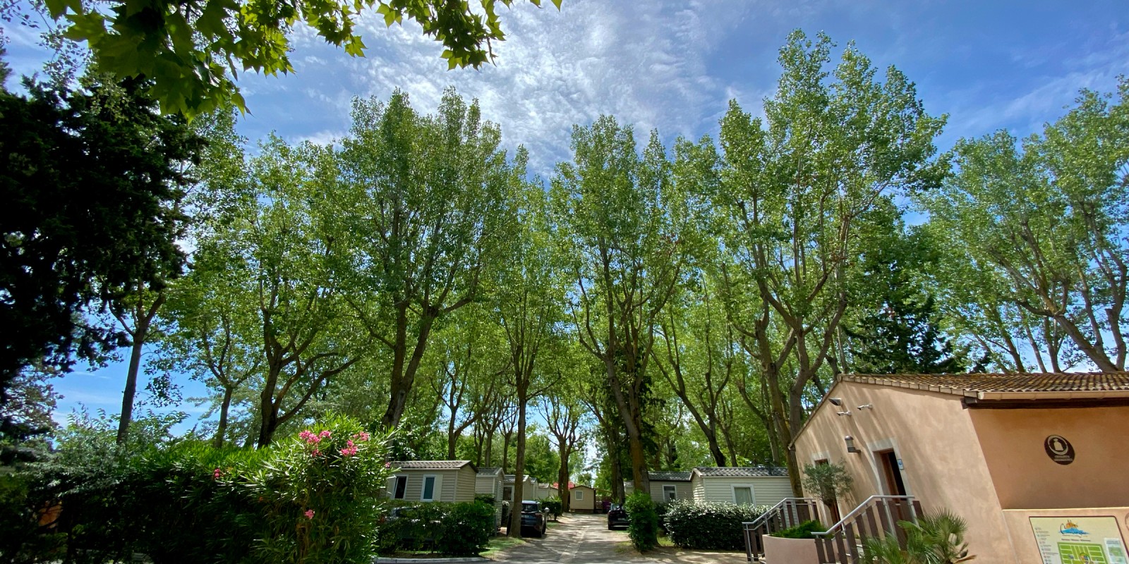 Le camping abrite nombre de végétaux tels que les pins, les platanes, les peupliers mais aussi les oliviers de bohème, les érables ou les saules pleureurs