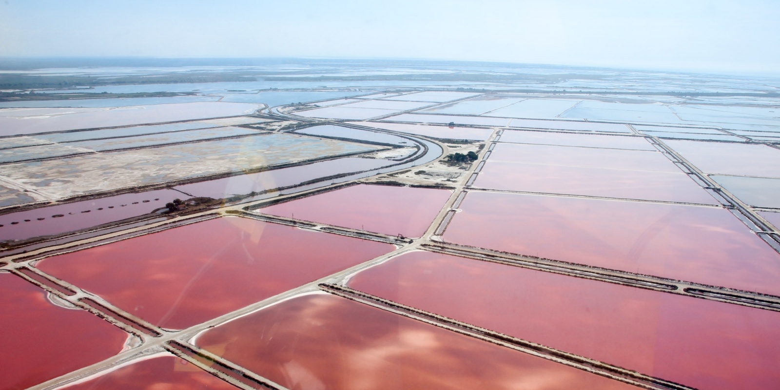 Un univers de marais salants