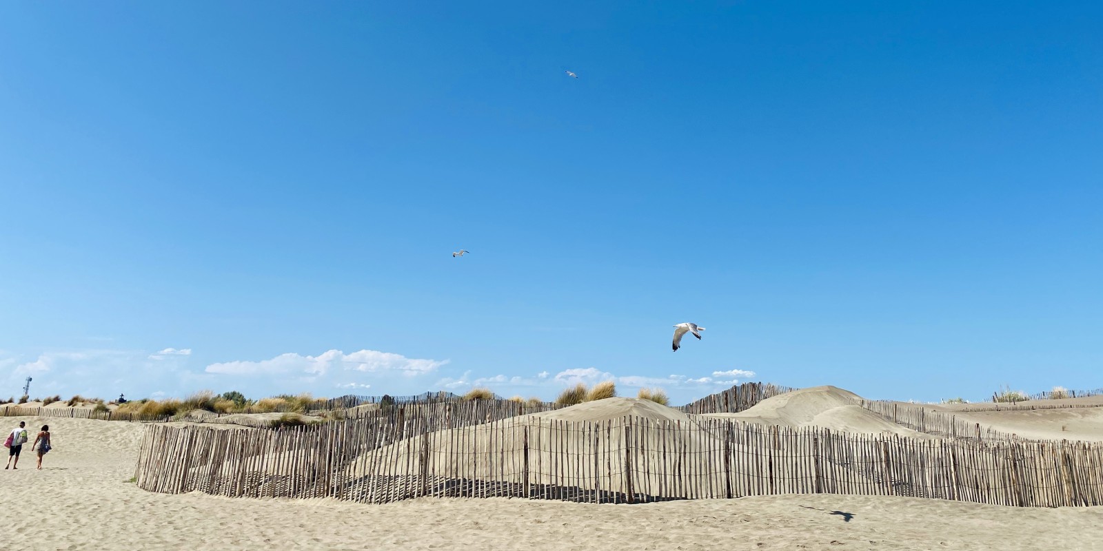  Les ganivelles : un symbole de la Camargue