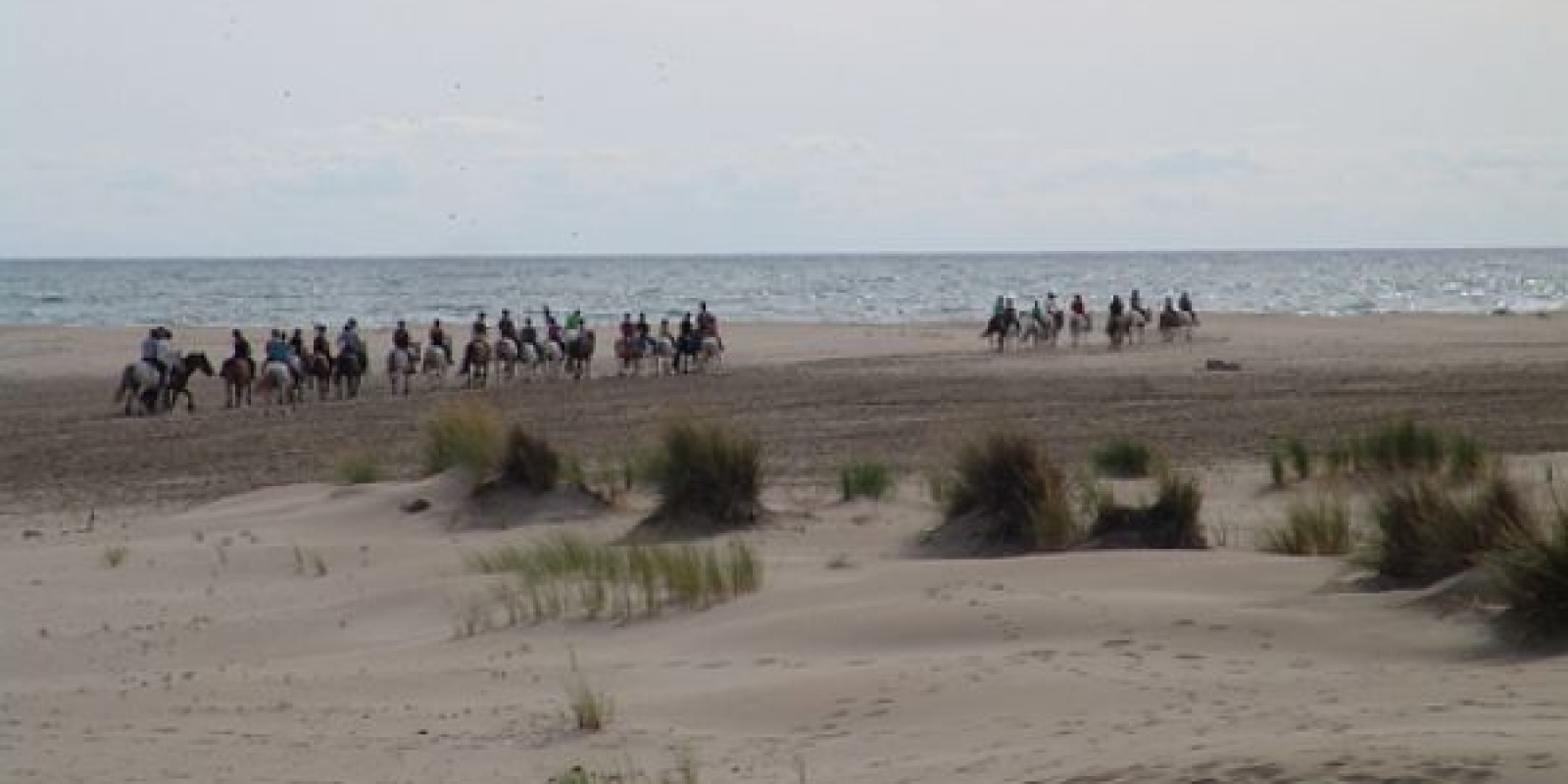 Sur la plage de l'Espiguette