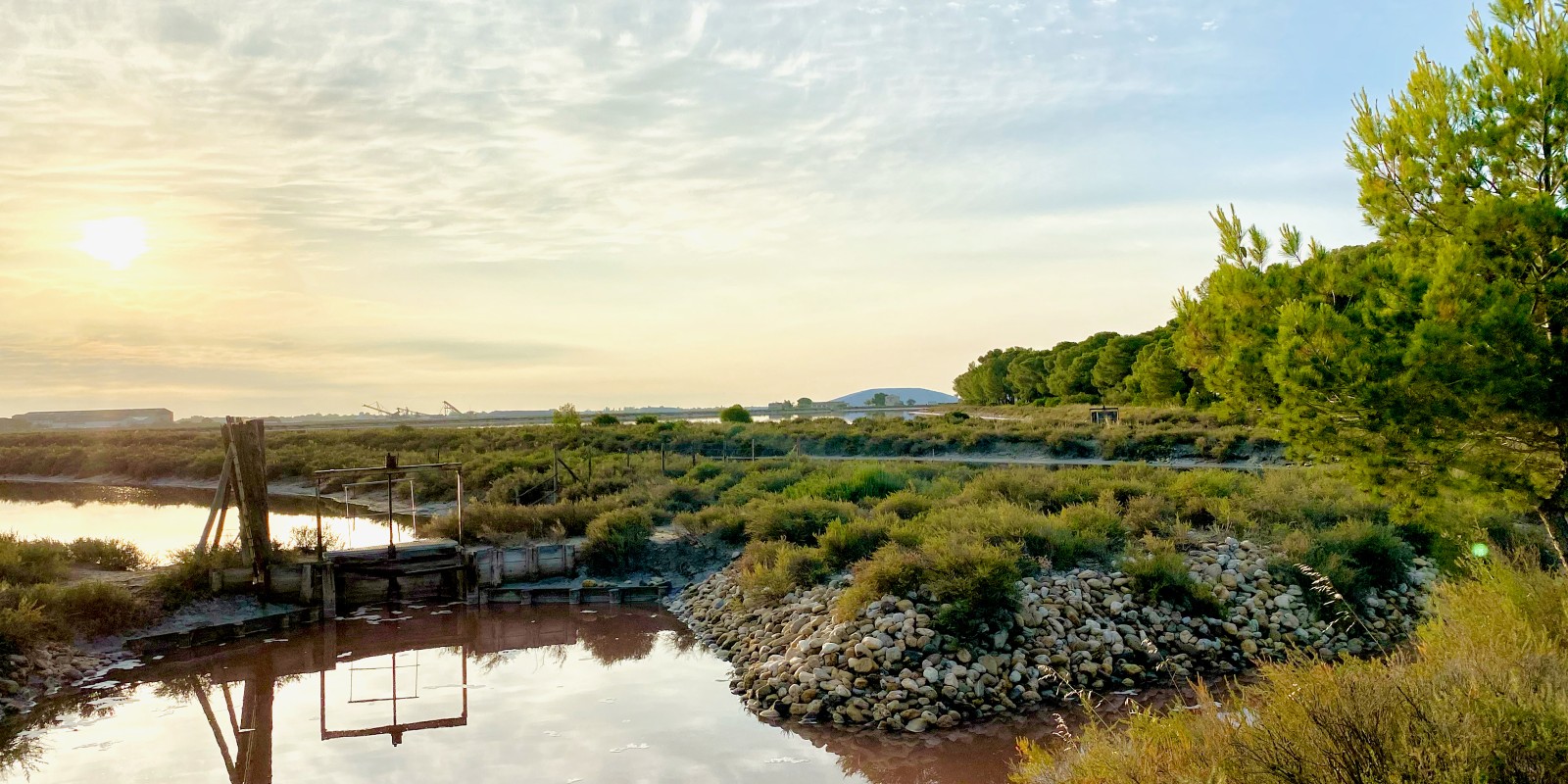 Les Salins d'Aigues-Mortes, couleurs de fin de journée