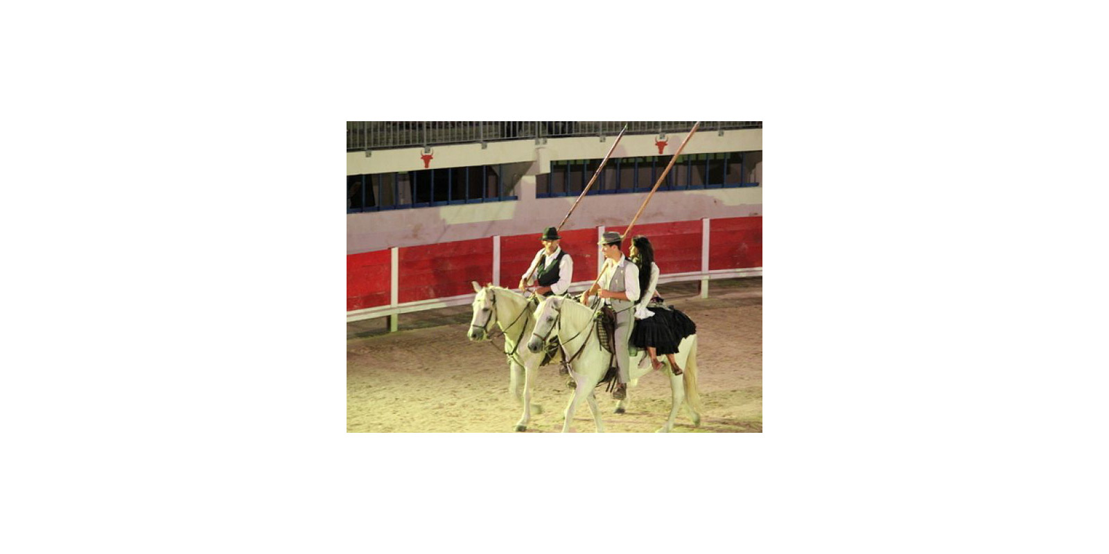 Spectacle équestre aux arènes