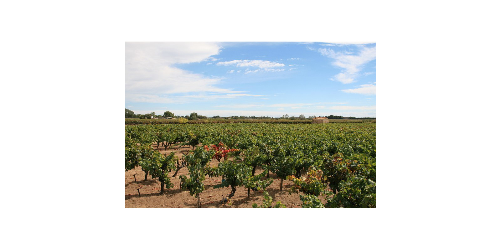 L'image du Languedoc