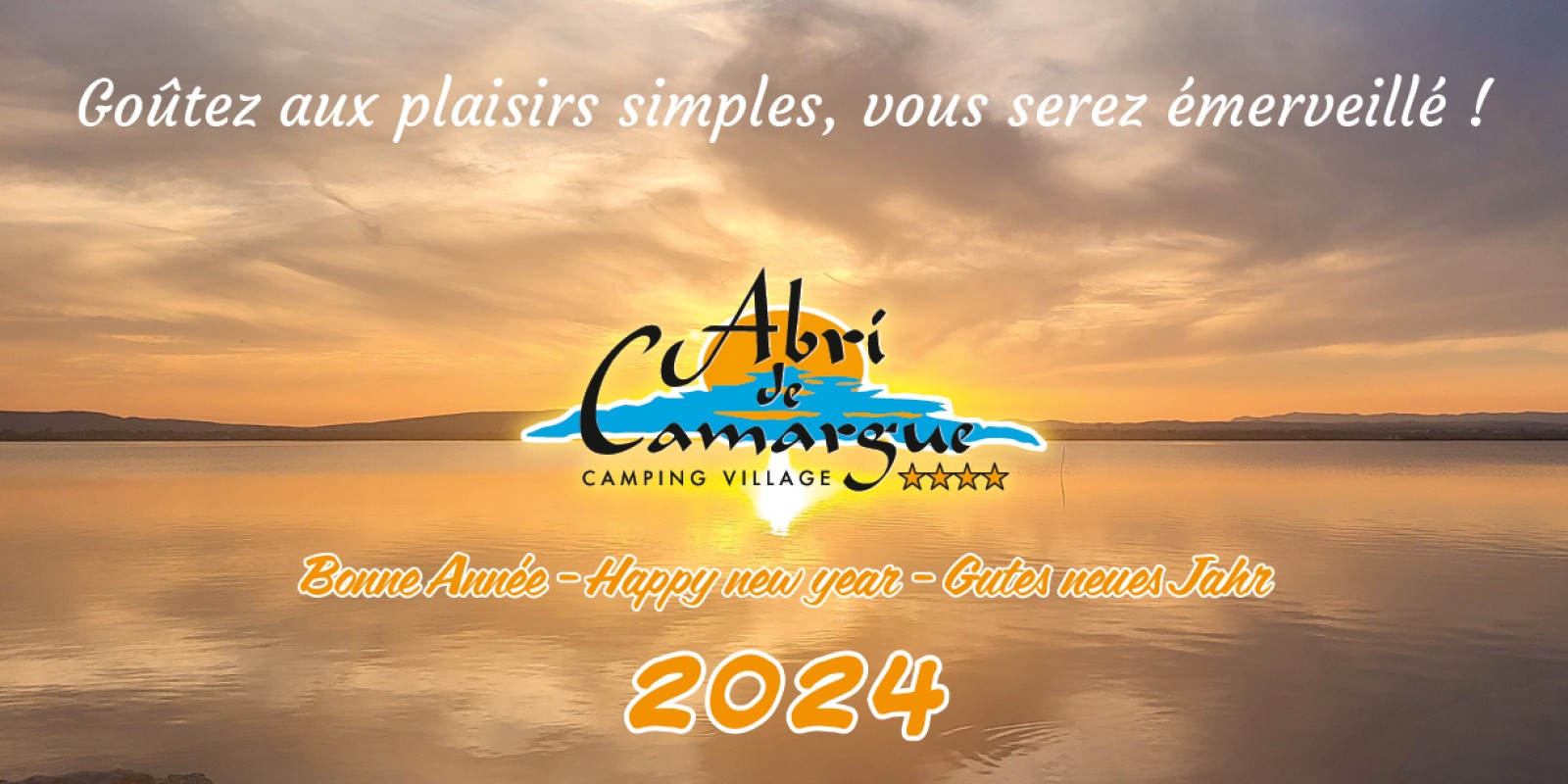 Nous vous présentons nos plus sincères meilleurs voeux pour cette nouvelle année, qu'elle vous apporte la santé et réussite dans vos projets !