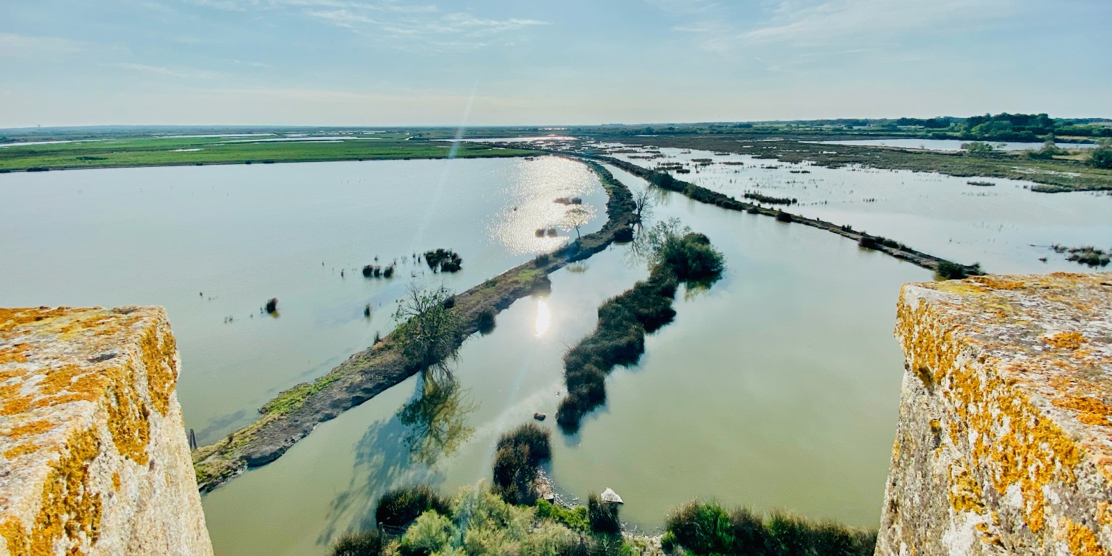Marécages en Camargue depuis le haut de la Tour Carbonière