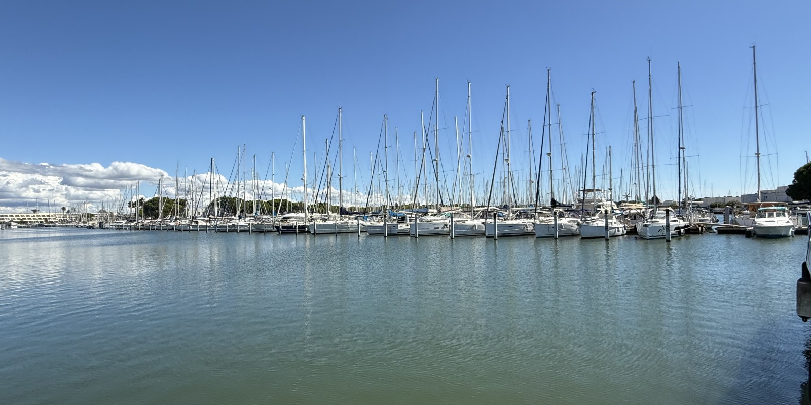 Marine de Port-Camargue septembre 2025