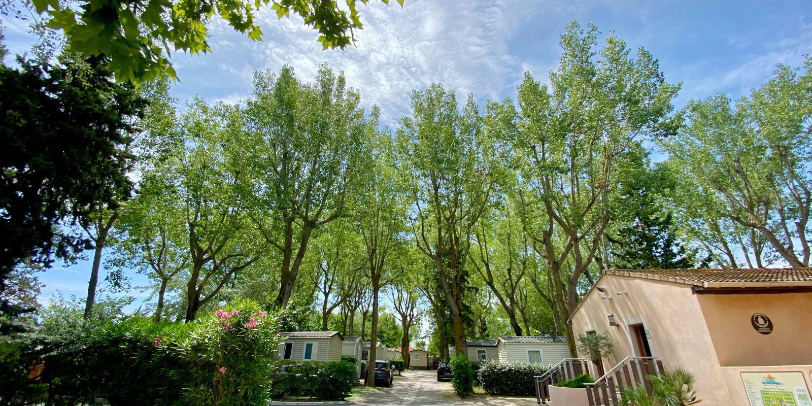 Notre camping est un grand parc très arboré