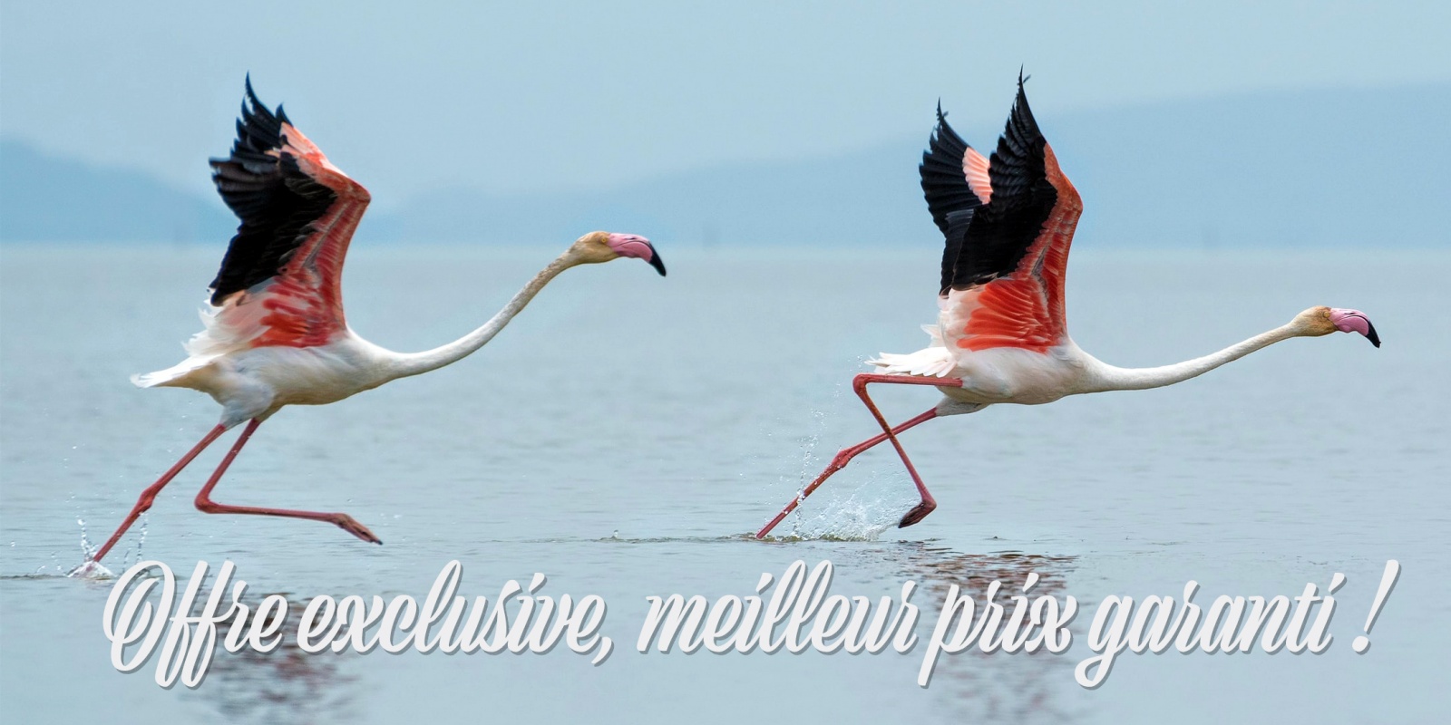 Offre Saint Valentin 2021 (crédit photo Dattatreya Patra @Unsplash)