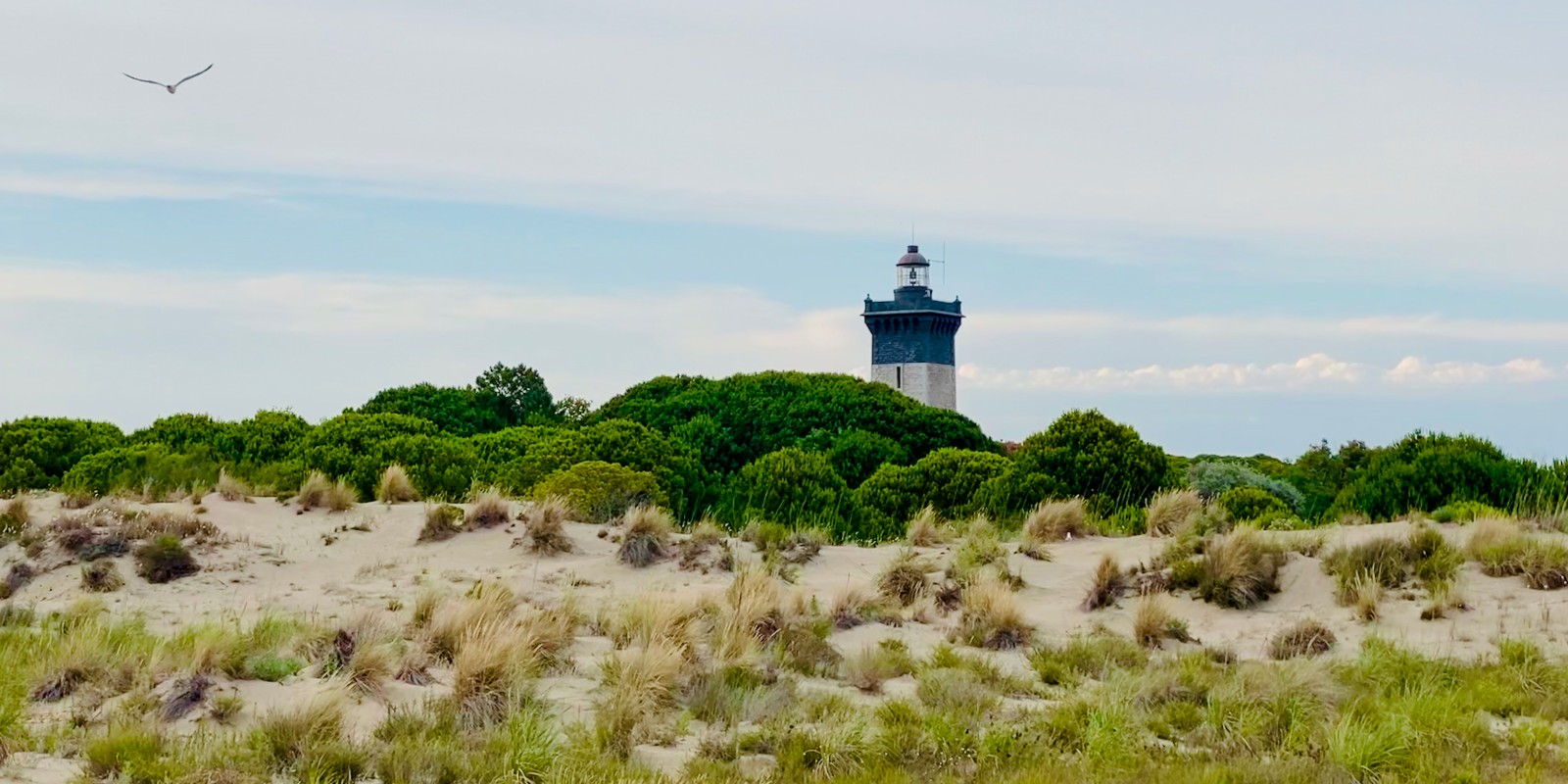 Phare de l'Espiguette vue des dunes
