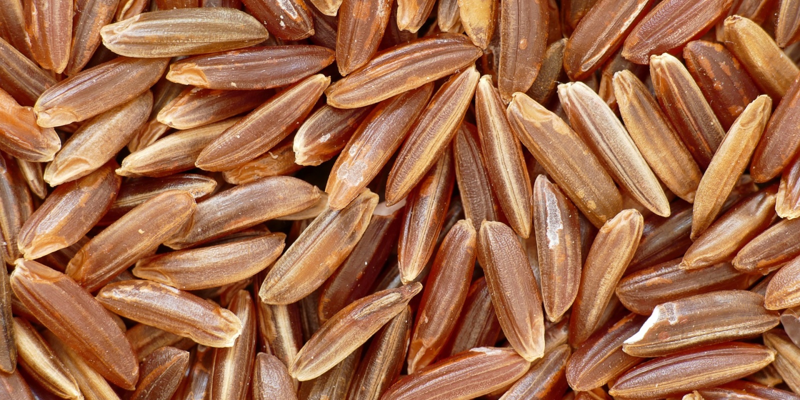 Riz naturel de Camargue