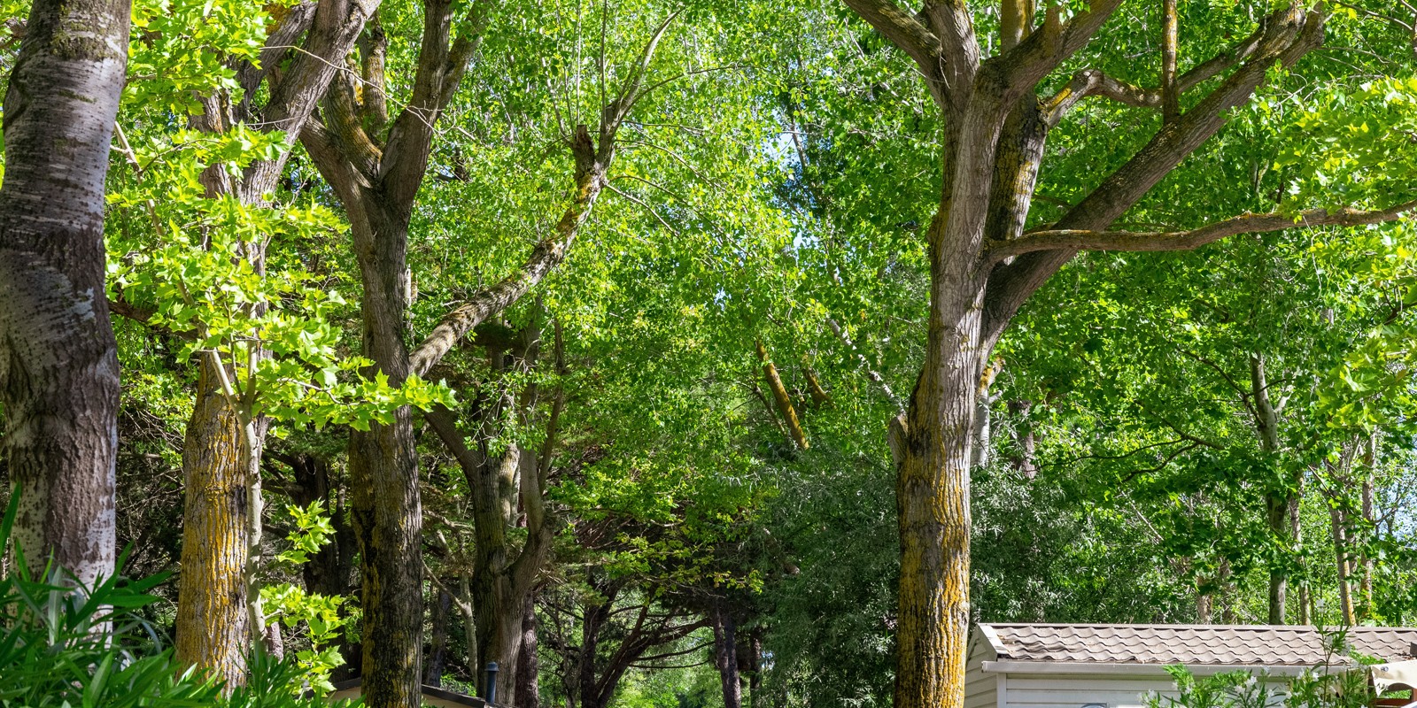 Se balader dans les allées du camping