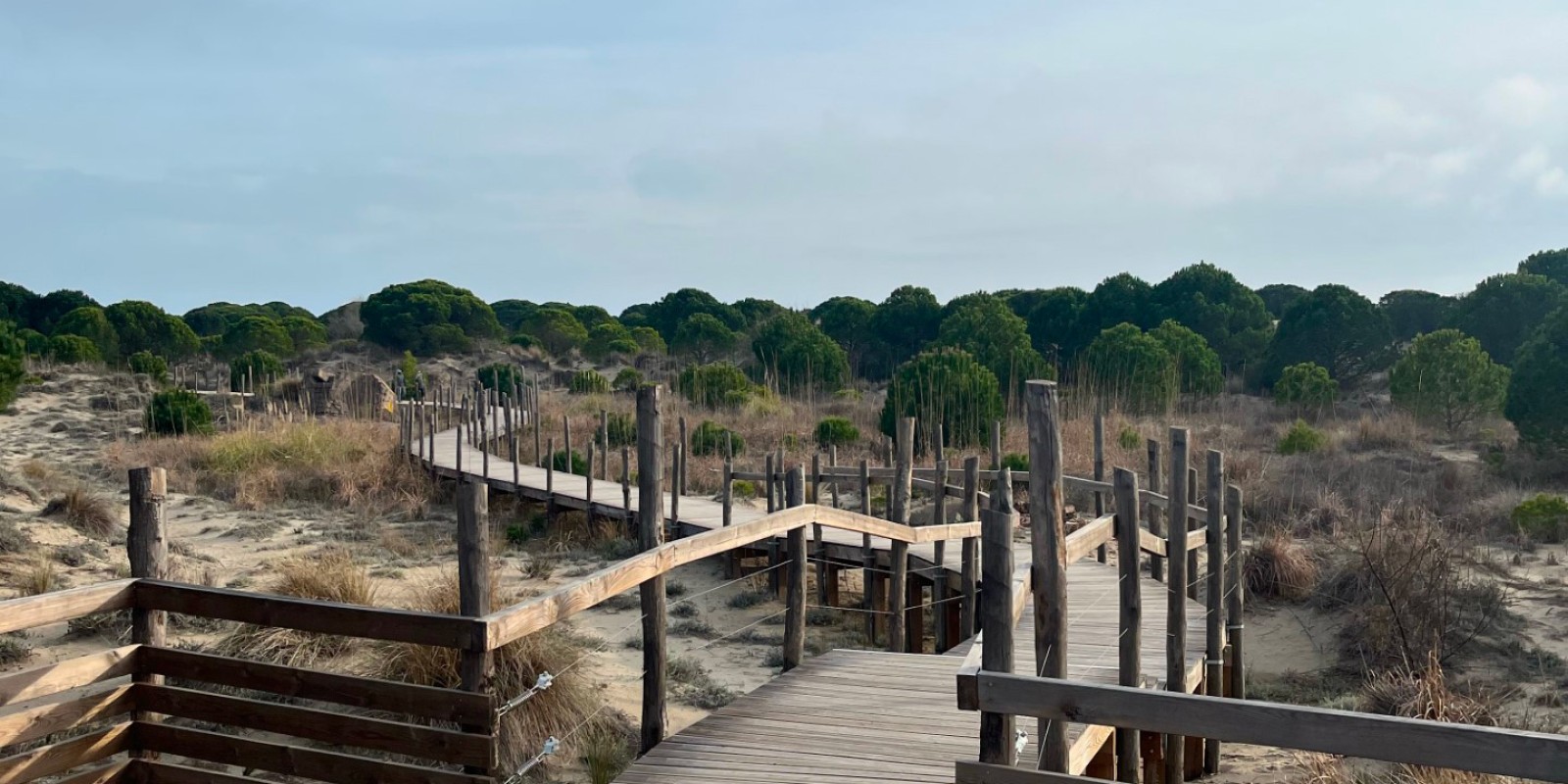 Sentier balisé jusqu'au Phare de l'Espiguette