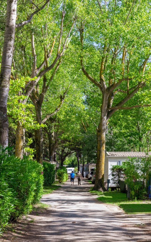 Se balader dans les allées du camping