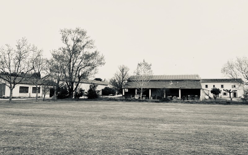 Bâti de ferme camarguaise, près de l'étang de Vaccarès