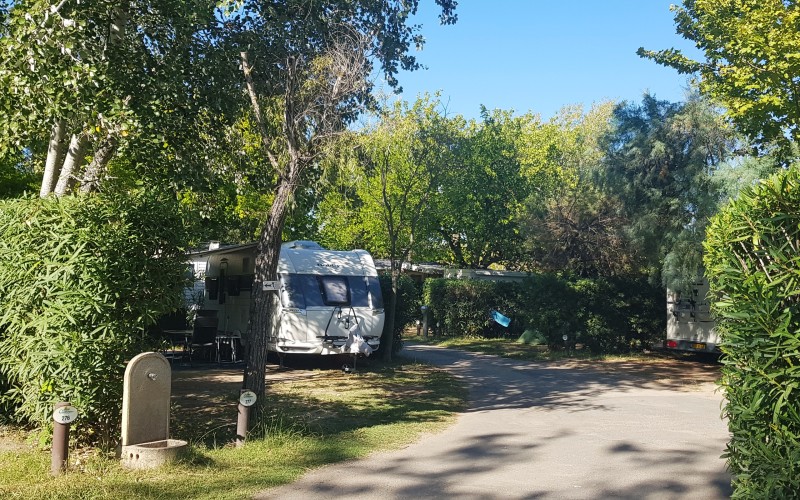 Emplacement de caravane, tente ou camping car dans notre Camping en Camargue