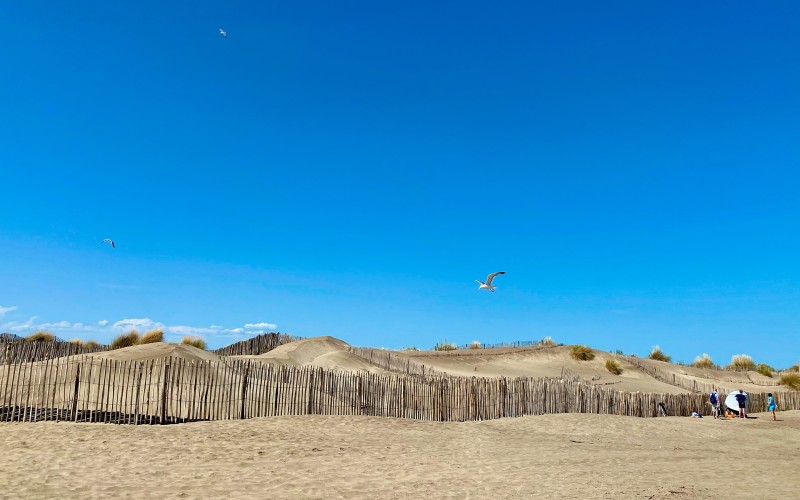  la plage de l'Espiguette est célèbre pour son caractère sauvage et son étendu de sable