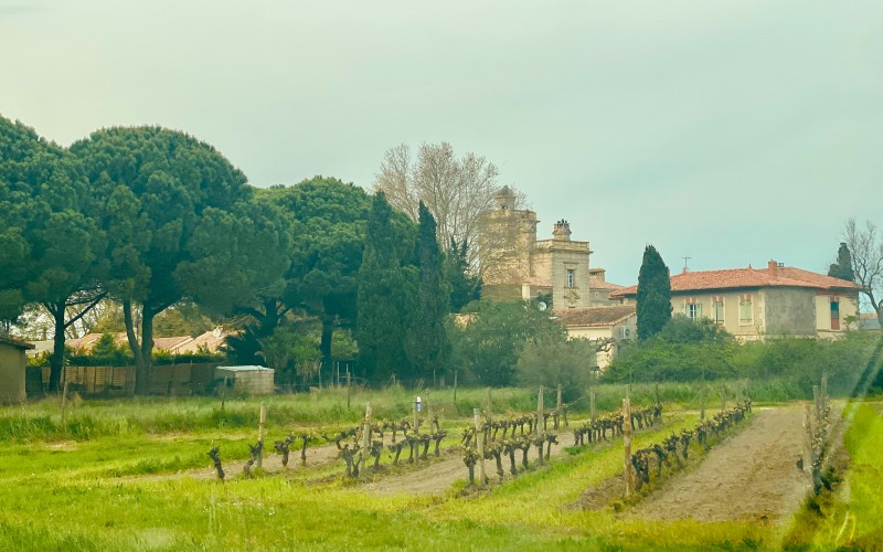 Le château et vignoble de Montcalm