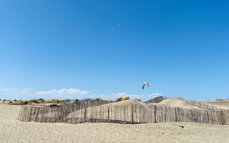  Les ganivelles : un symbole de la Camargue