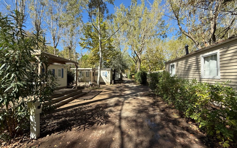 Les rires de l'été raisonnent encore en automne