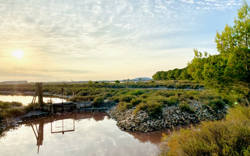 Les Salins d'Aigues-Mortes, couleurs de fin de journée