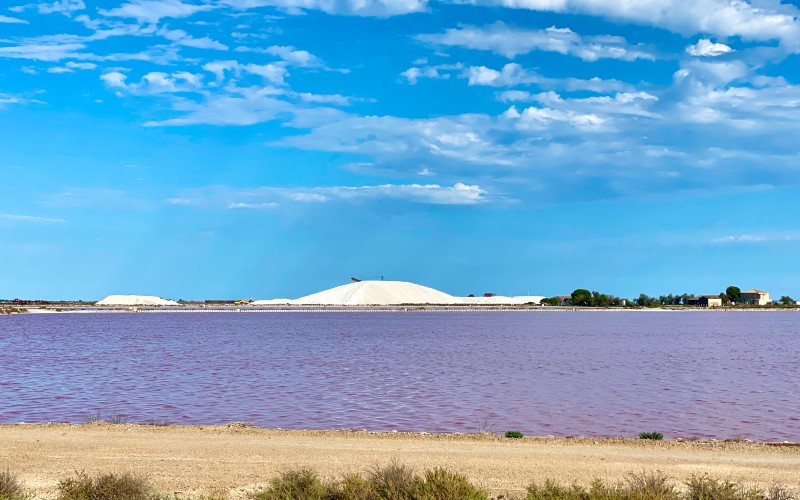Marais Salants La Baleine près du camping