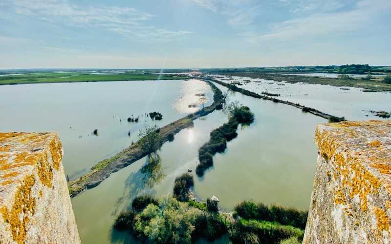 Marécages en Camargue depuis le haut de la Tour Carbonière