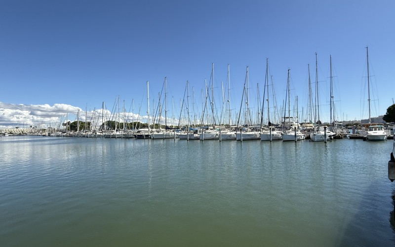 Marine de Port-Camargue septembre 2025
