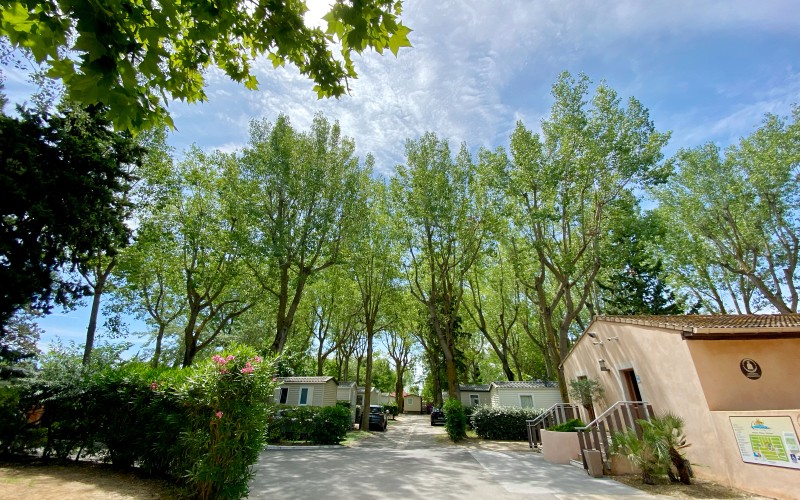 Notre camping est un grand parc très arboré