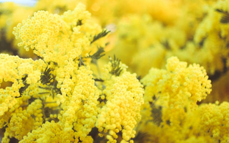 Frais de réservation offerts en basse saison (crédit Photo : Morgane Le Breton @Unsplash)