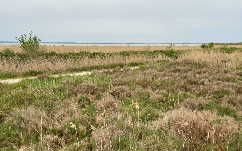 Parc naturel du Scamandre, la nature  retient son souffle en hiver