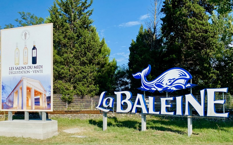 Sel La Baleine, à 5 minutes du Camping