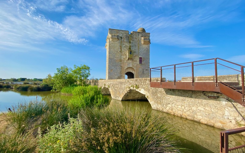 Tour Carbonnière vue en contre plongée (crédit photo Jean-Loup pour Abri de Camargue)