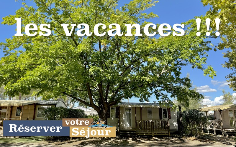 Vivement les vacances