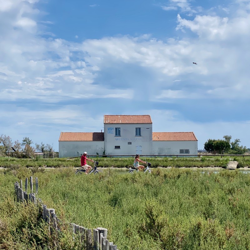 À vélo, laissez-vous porter par la douceur du sud, le chant des cigales et la brise légère