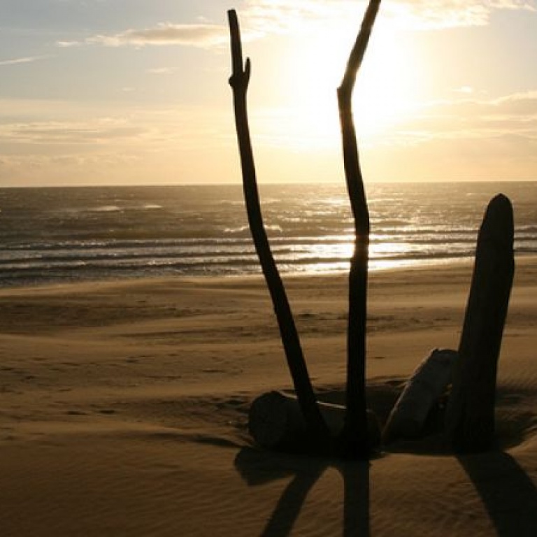 Le soir tombant sur l'Espiguette analyse