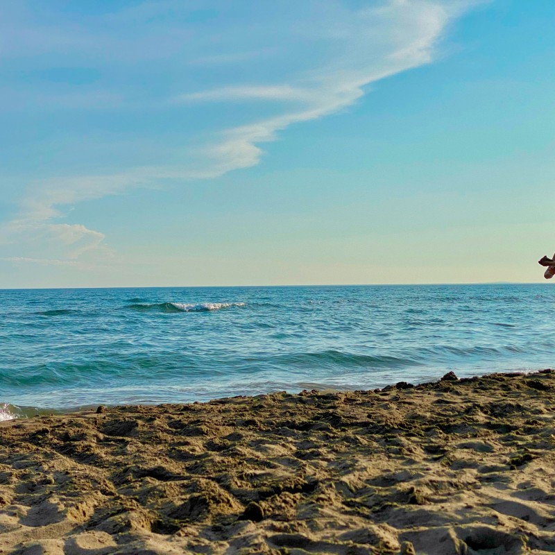 Enfants jouants sur la plage de l'Espiguette