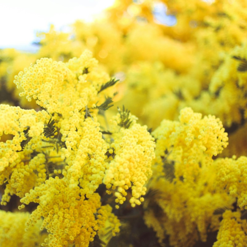 Frais de réservation offerts en basse saison