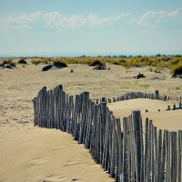 Amis lors d'un pique-nique à l'Espiguette